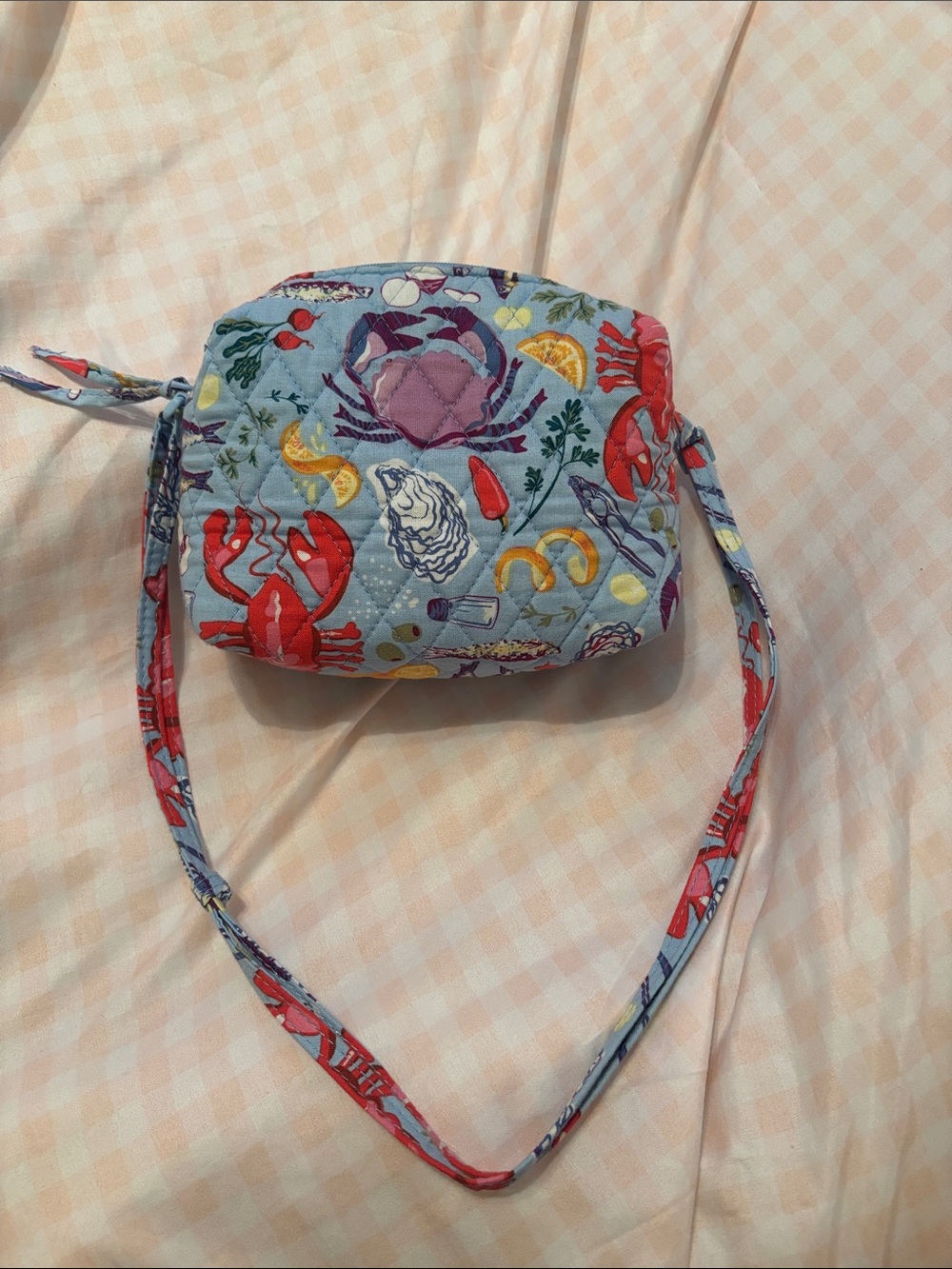 VERA BRADLEY Seafood boil Camera Bag- Quilted